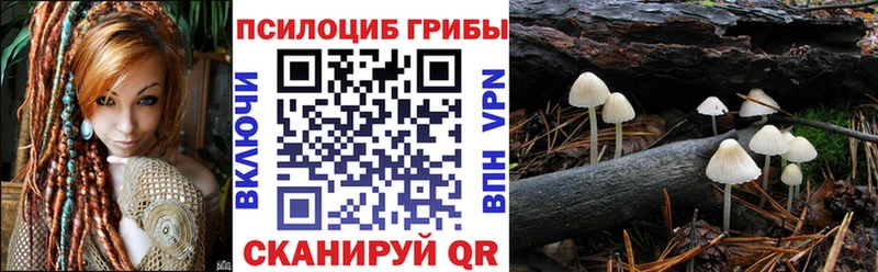 Псилоцибиновые грибы ЛСД мориарти телеграм Ковдор